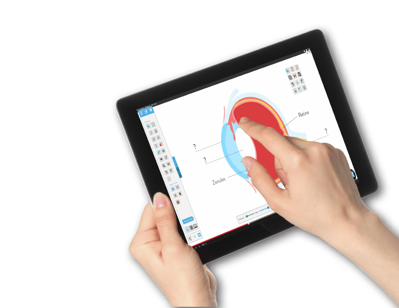 Commbox Teach Interactive Display Software